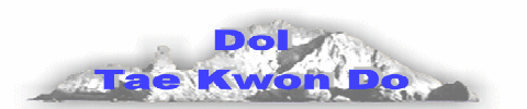 Dol Tae Kwon Do Forum Dol Tae Kwon Do Forum